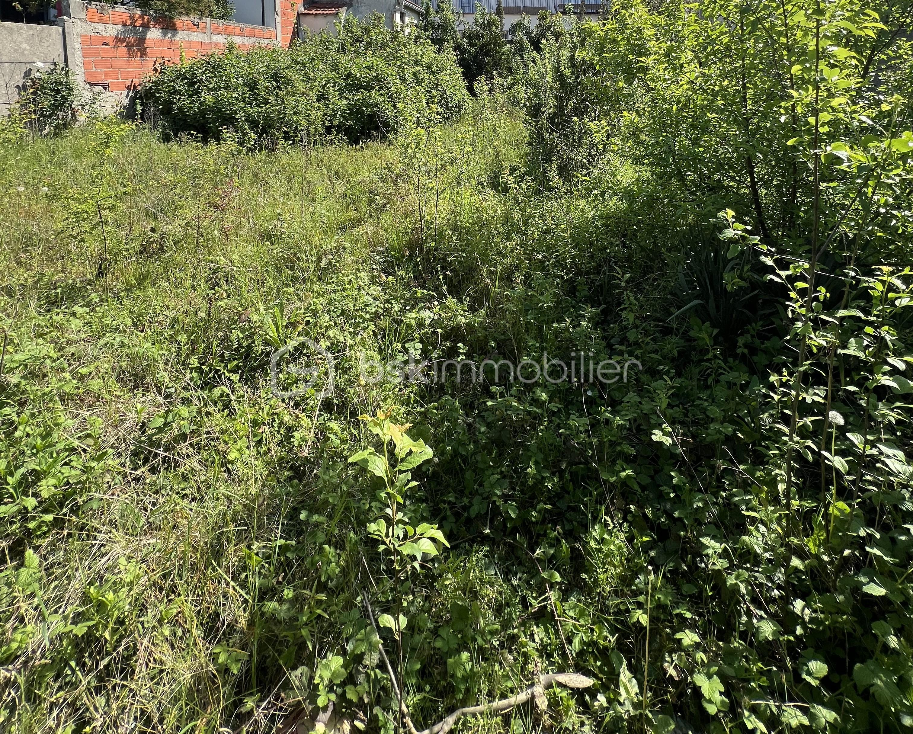 IMG_5008 copie.jpeg