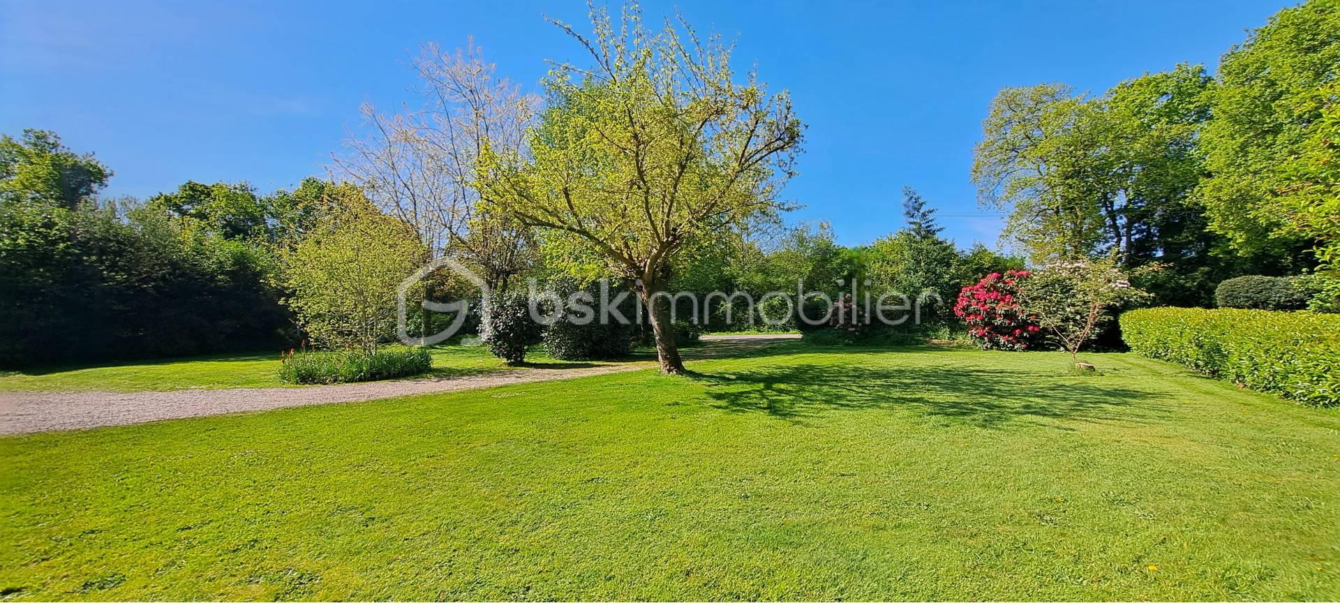 jardin.jpg