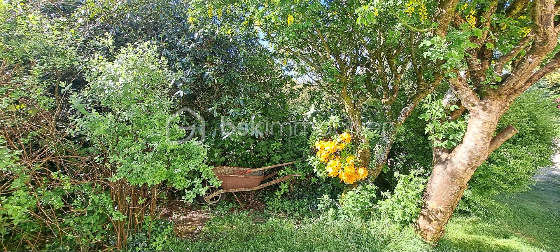 jardin 2.jpg