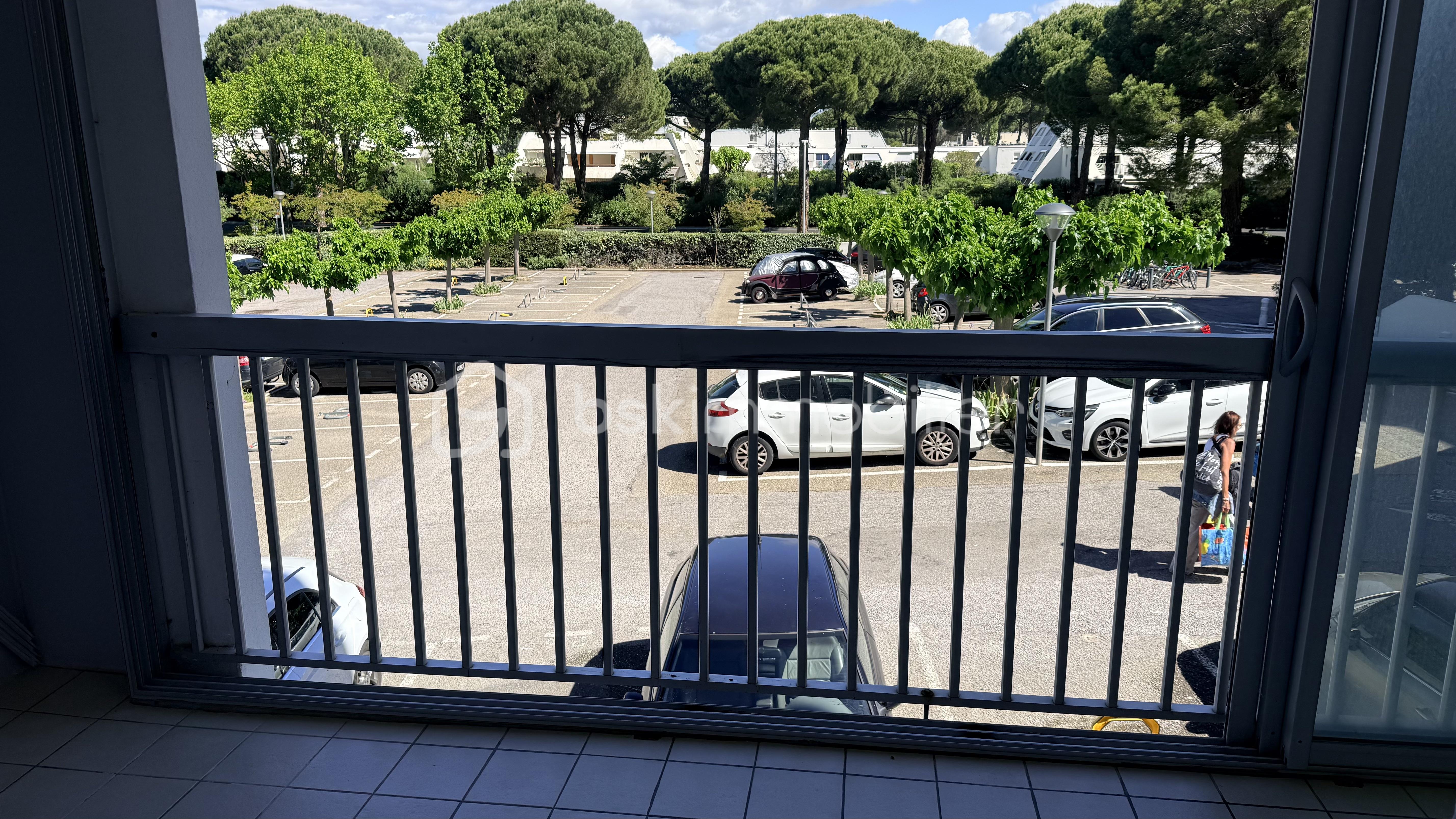 IMG_3042.jpeg