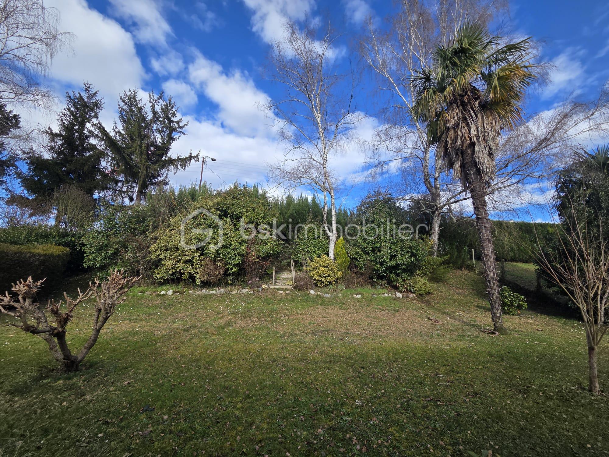 WhatsApp Image 2026-03-18 at 21.55.57 (6).jpeg