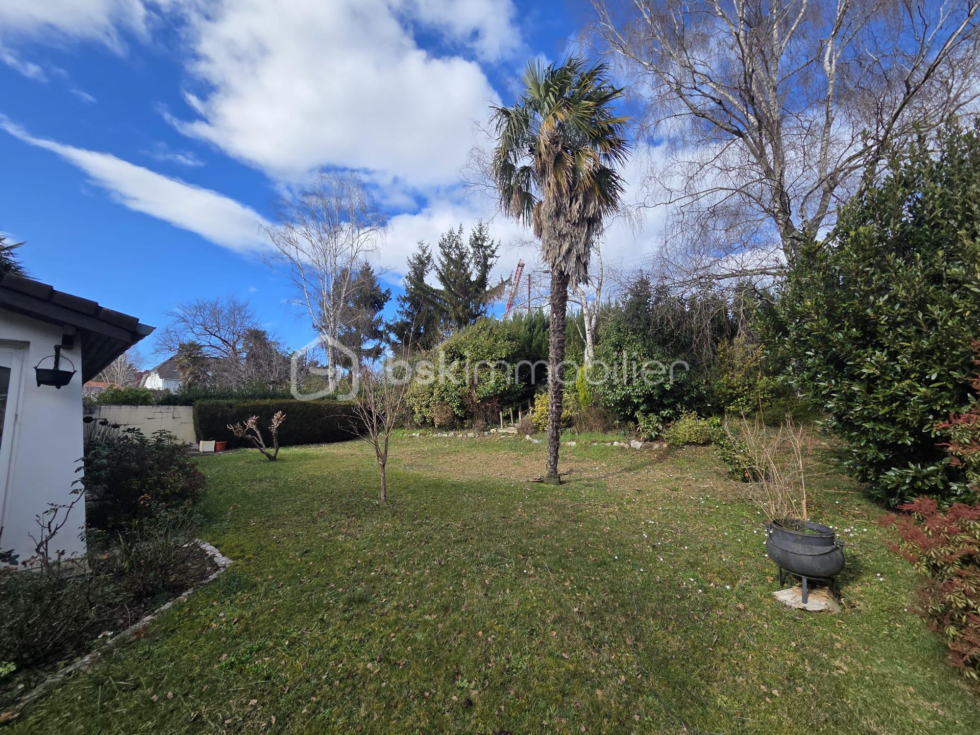 WhatsApp Image 2026-03-18 at 21.55.58 (1).jpeg