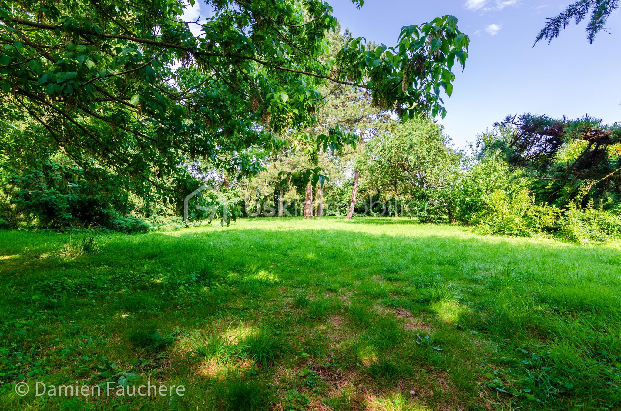 Terrain de 868 m² - Terrain.jpg