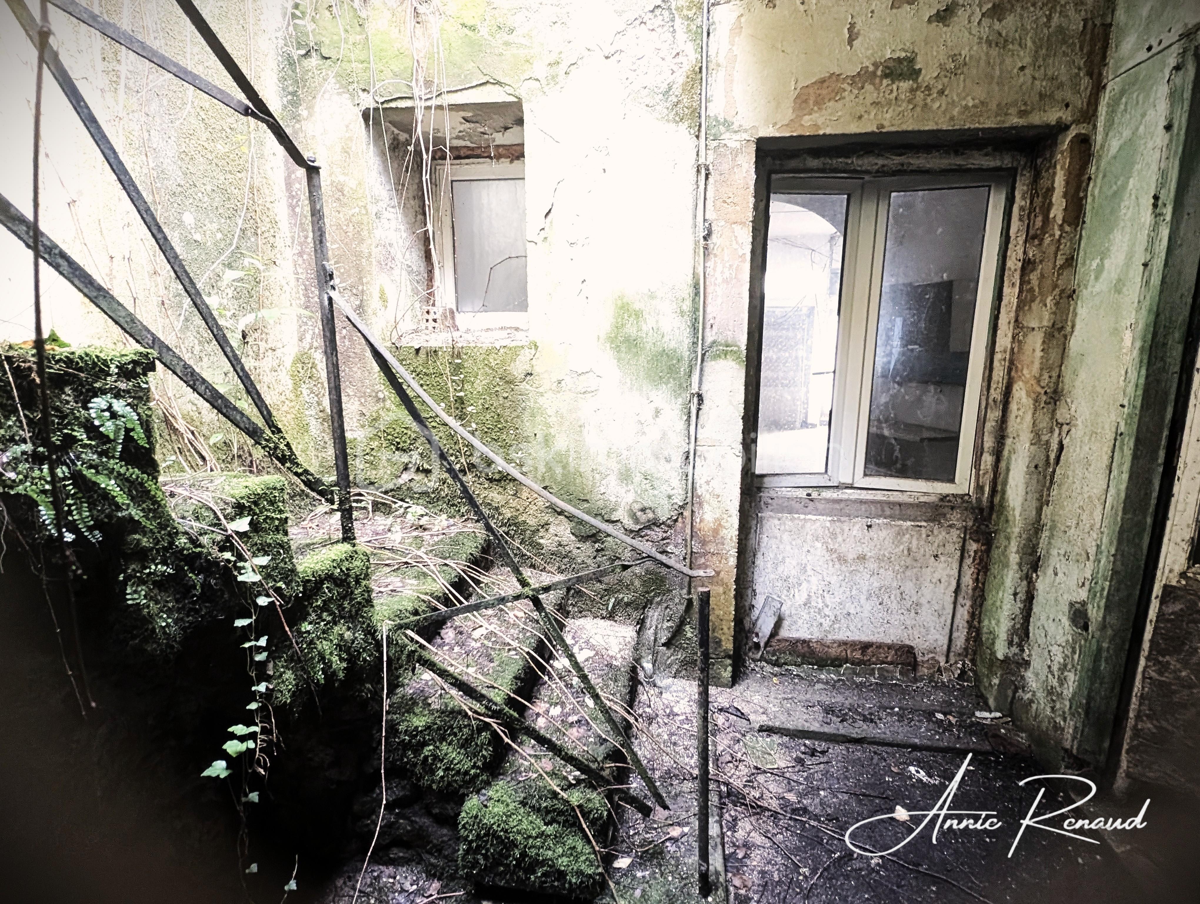 Maison de 240 m² - 6_escalier vers jardin.jpg