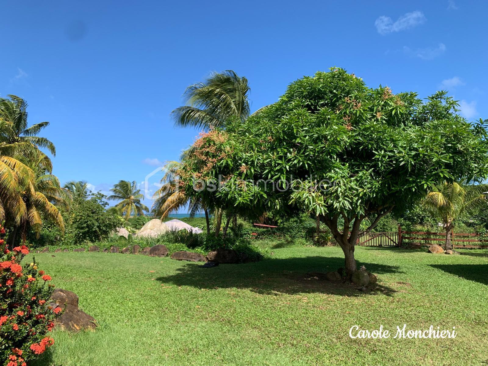 Propriete de 387 m² - 3.jpg