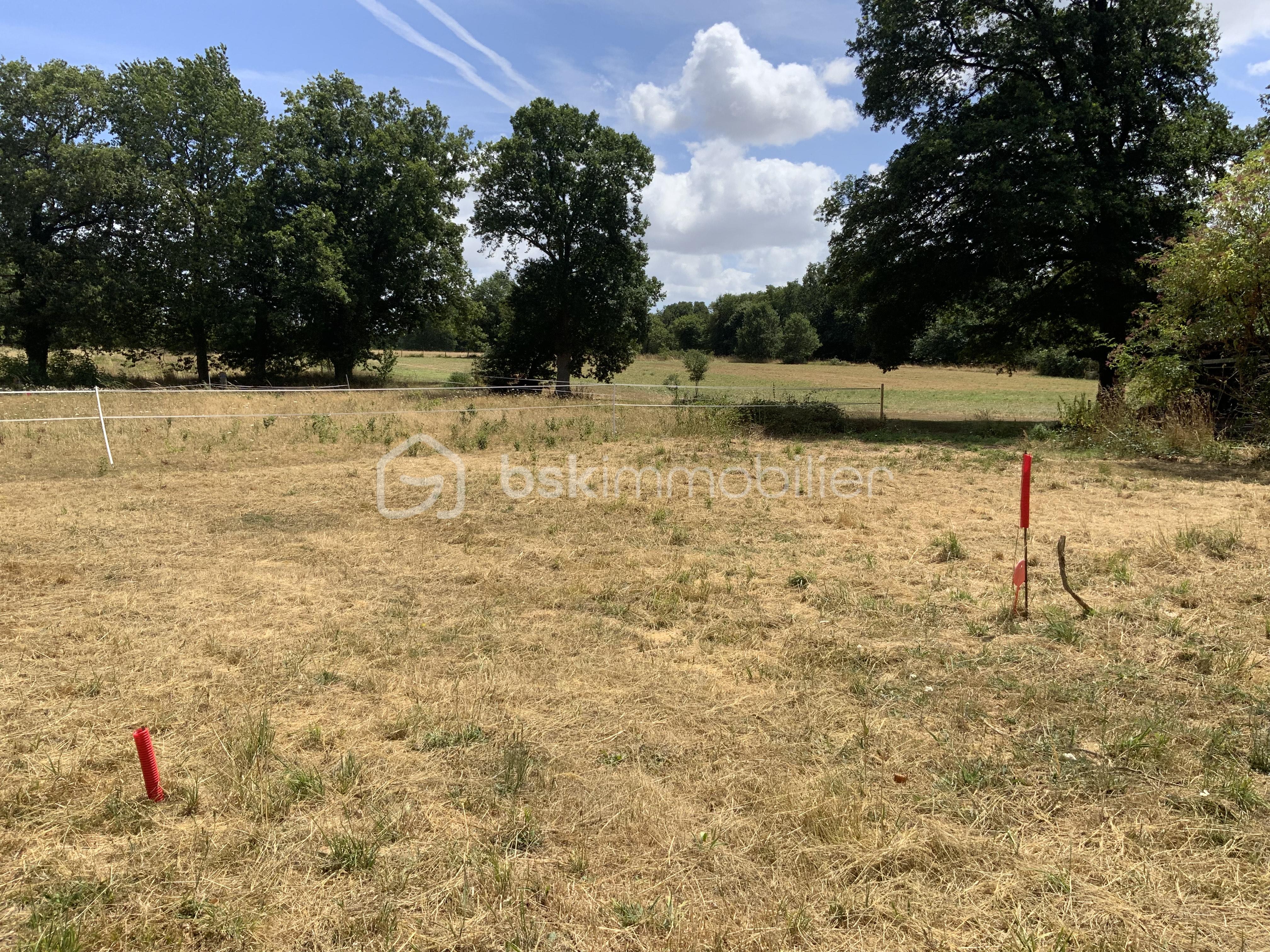 Terrain de loisirs de 1 133 m²