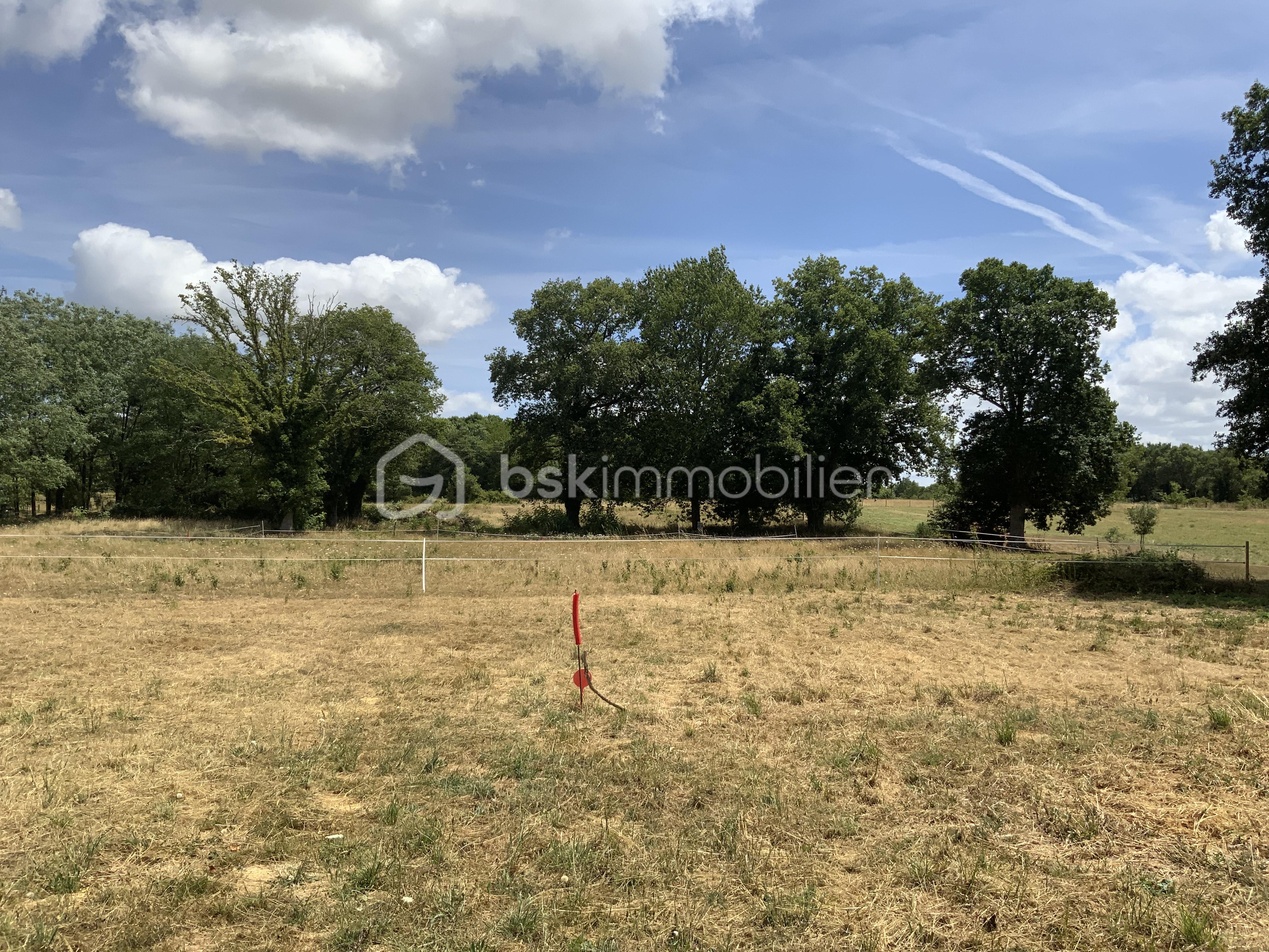 Terrain de loisirs de 1 133 m² - IMG_2869.jpeg