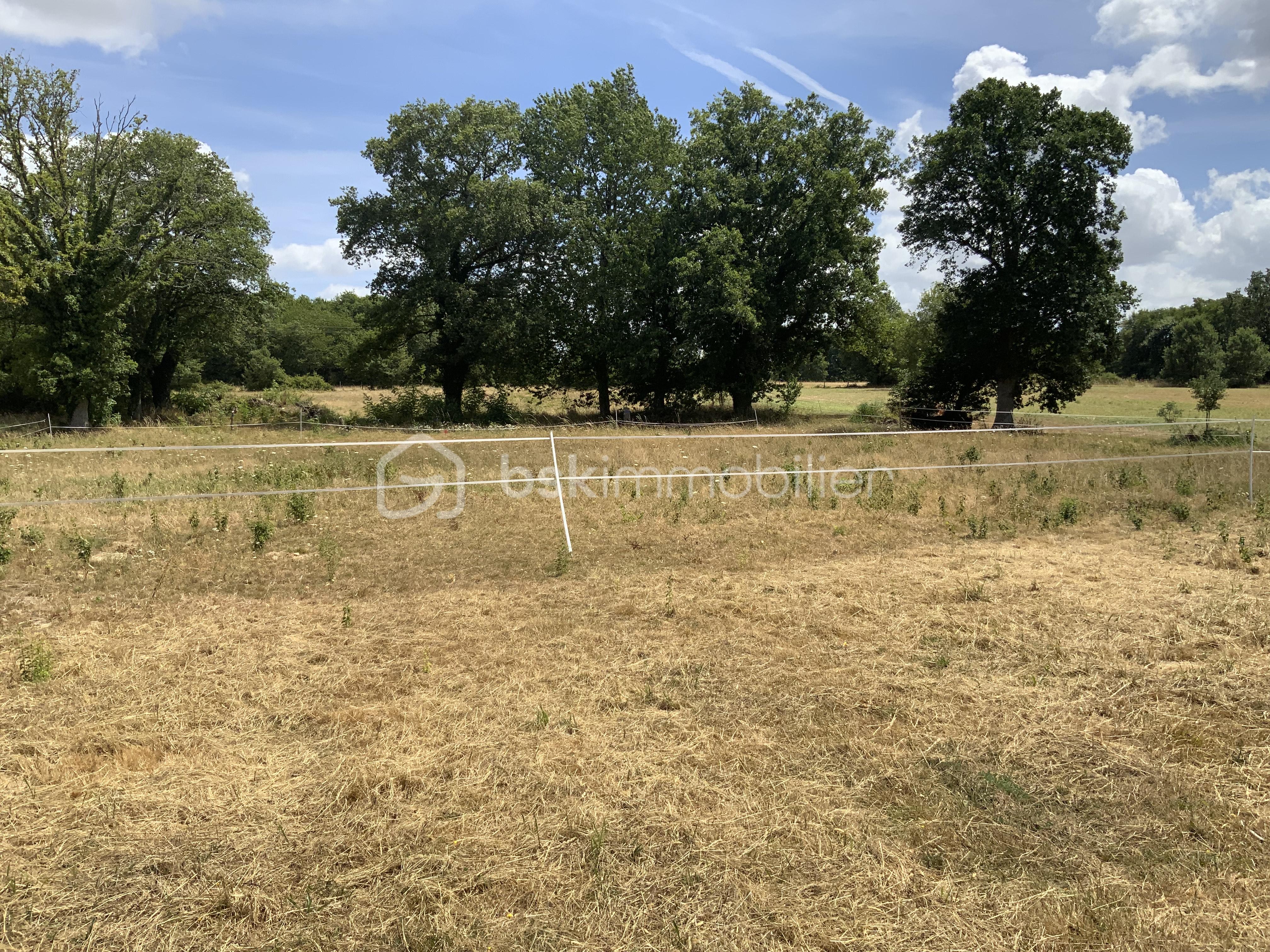 Terrain de loisirs de 1 133 m² - IMG_2870.jpeg