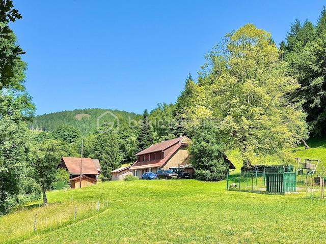 Ferme de 220 m² - IMG_6137.jpeg