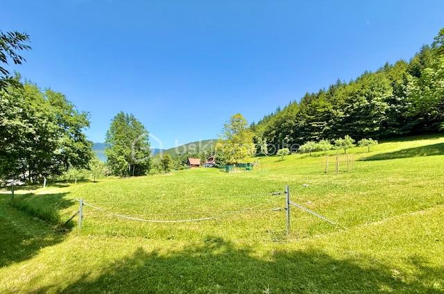 Ferme de 220 m² - IMG_6136.jpeg