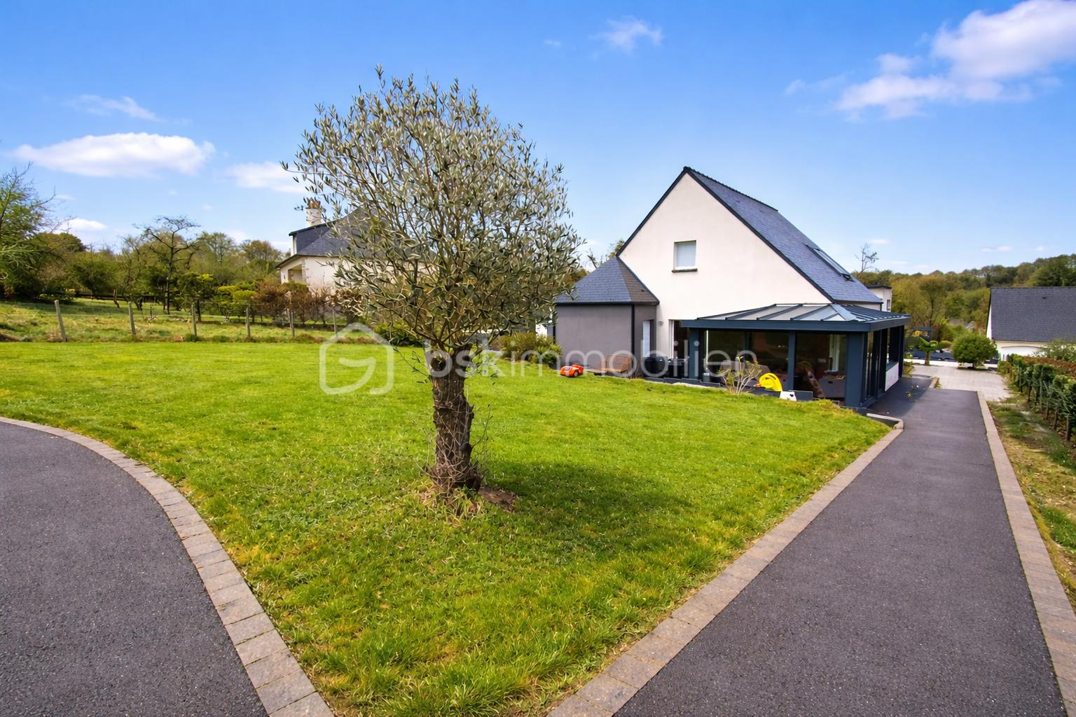 Maison moderne et olivier centenaire.png