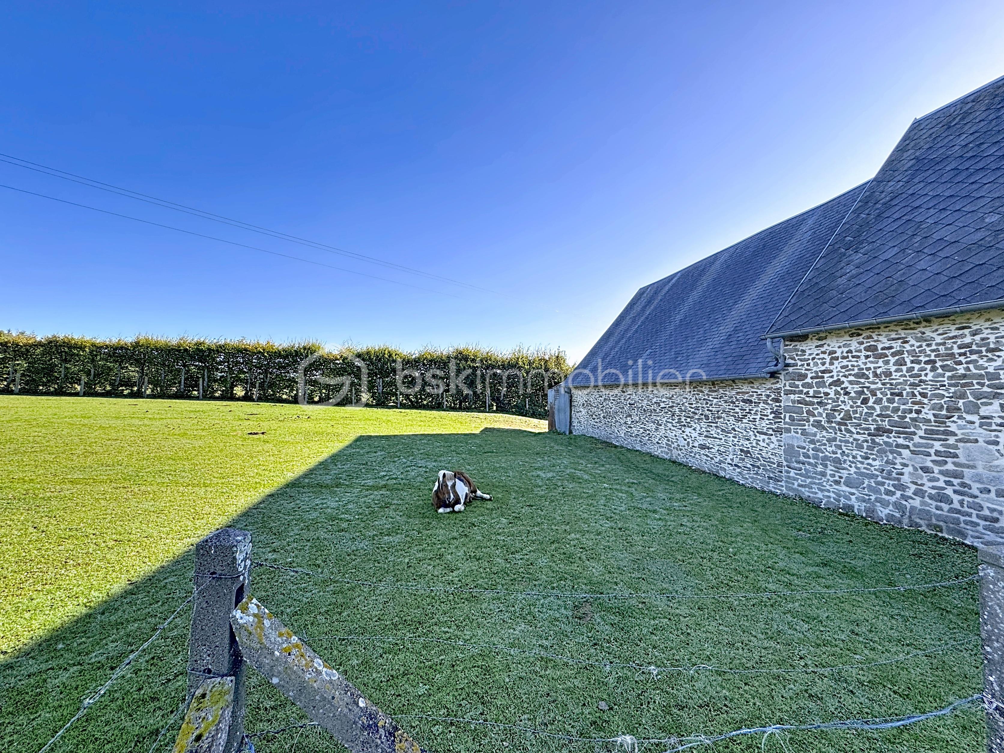 Maison de 143 m² - arrière avec terrain.jpg