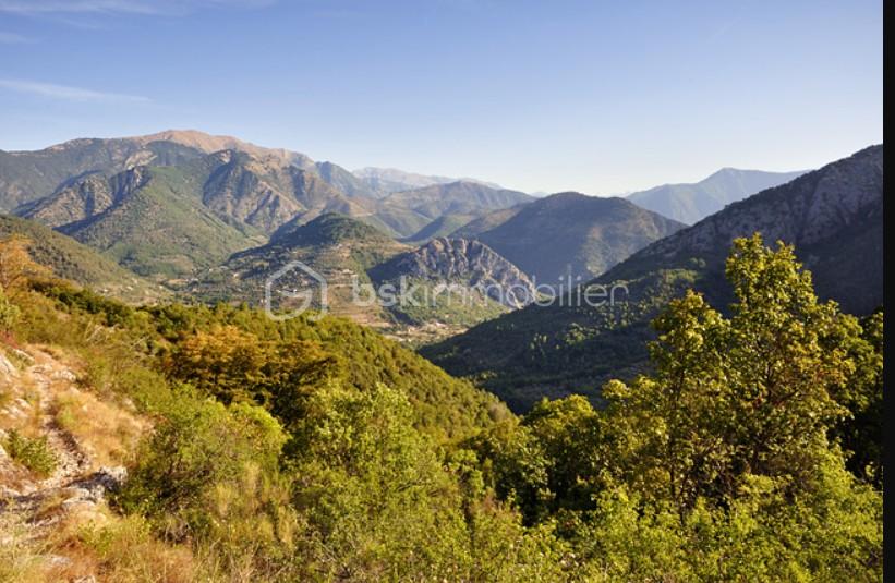 Foret de 100 435 m²