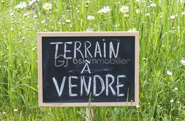 Terrain-Constructible-MF-Construction-768x506.jpg