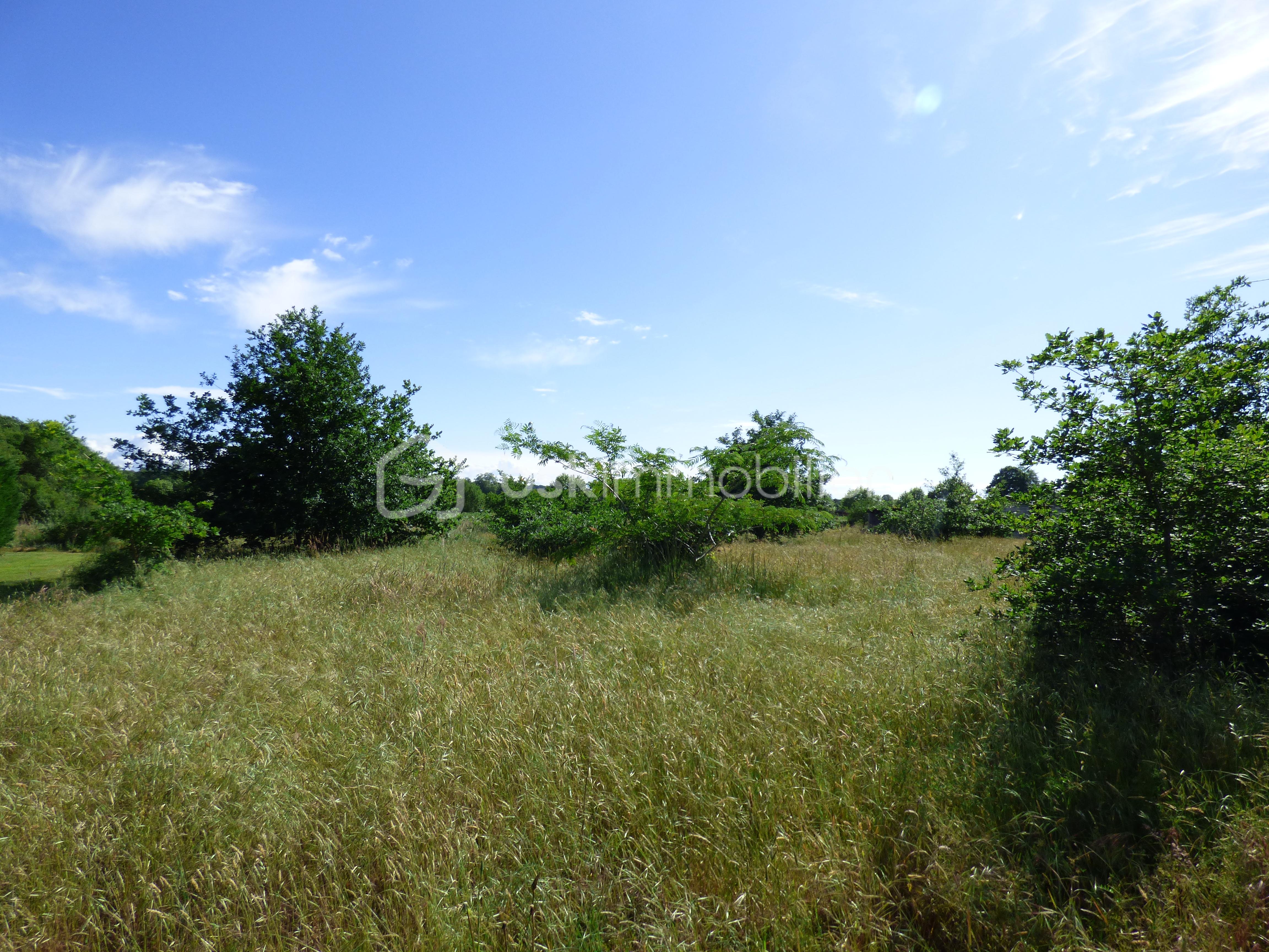 P1100755.JPG