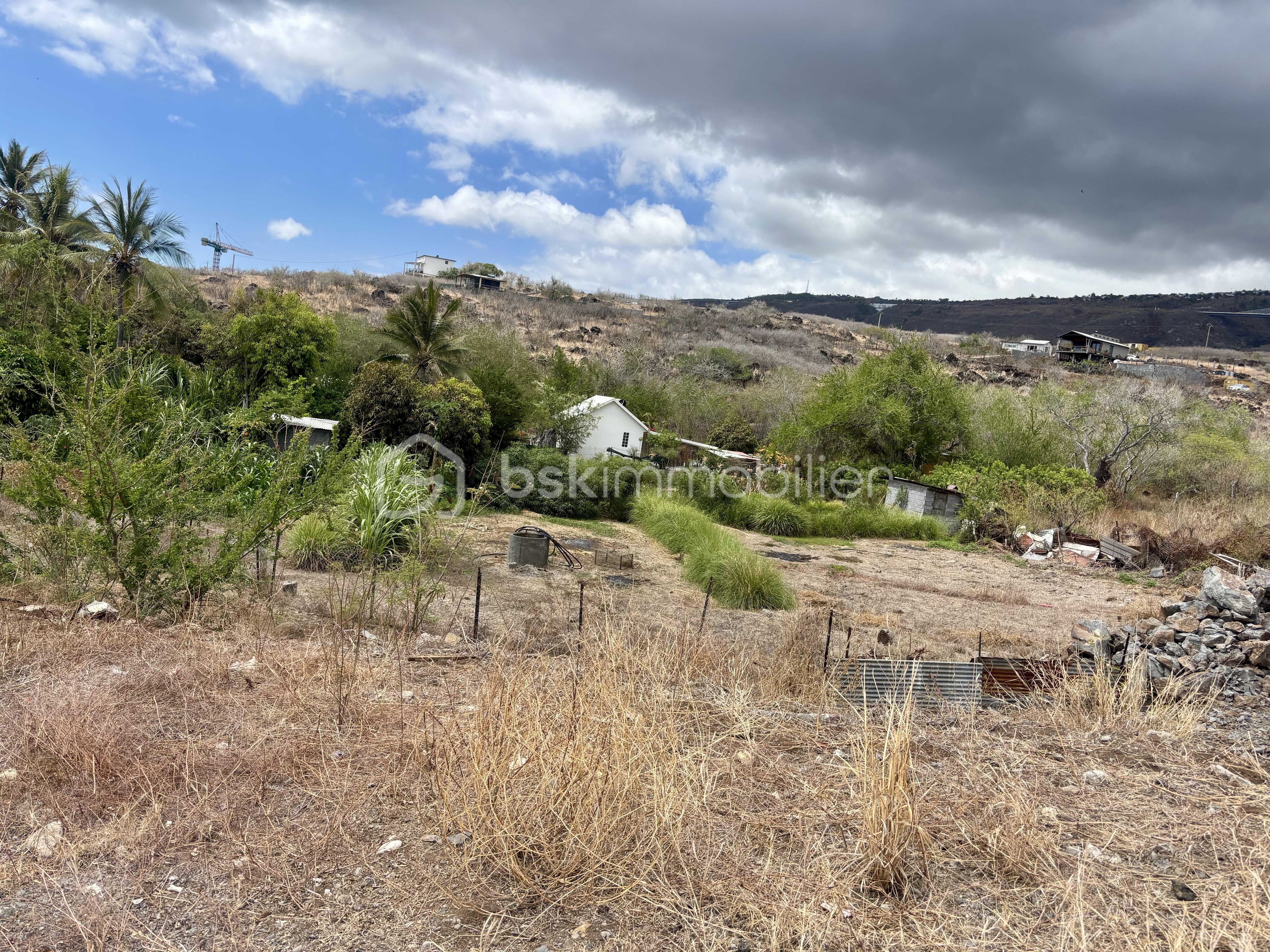 Terrain de 4 500 m² - IMG_3908.jpeg