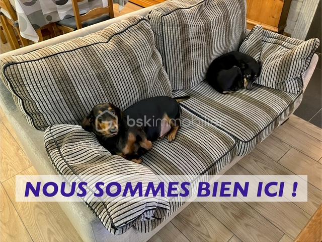 Maison traditionnelle de 146 m² - mouronval chien.jpg