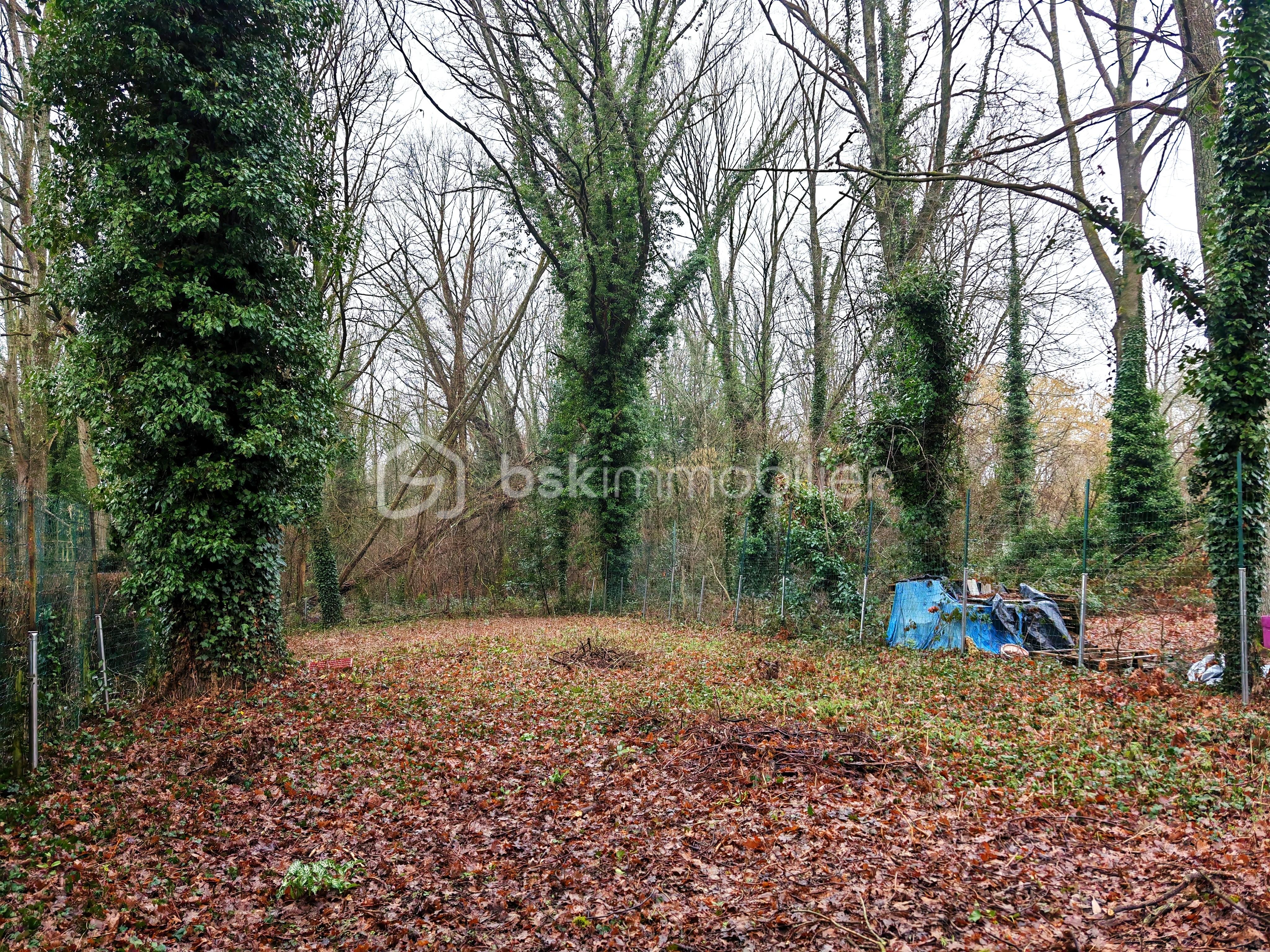 Maison de 104 m² - FORET.jpg