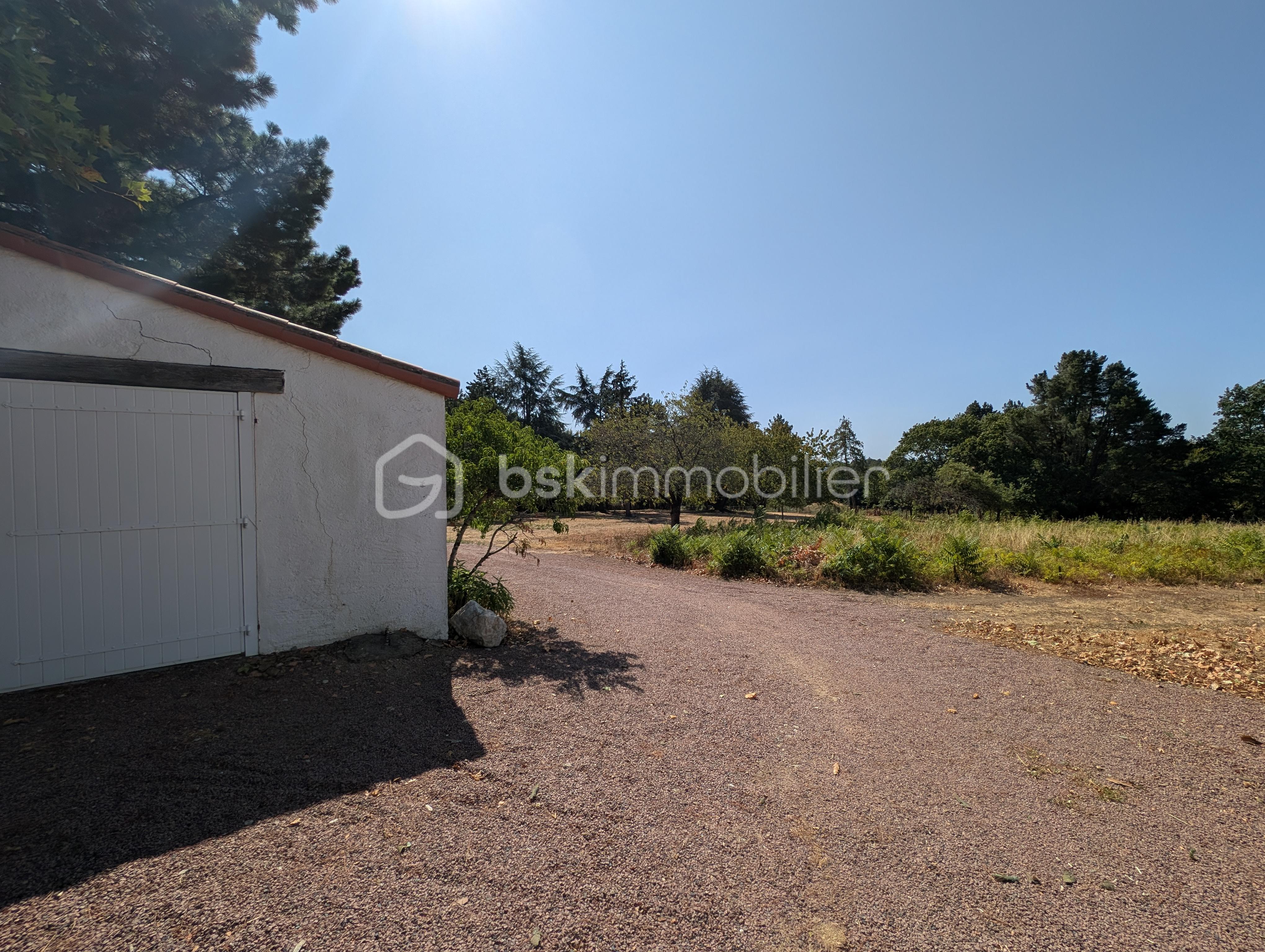 PXL_20260721_093446375.RAW-01.COVER.jpg