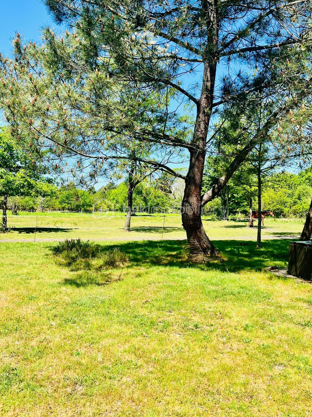 Maison de 140 m² - PHOTO-2025-05-06-15-45-01 (16).jpg