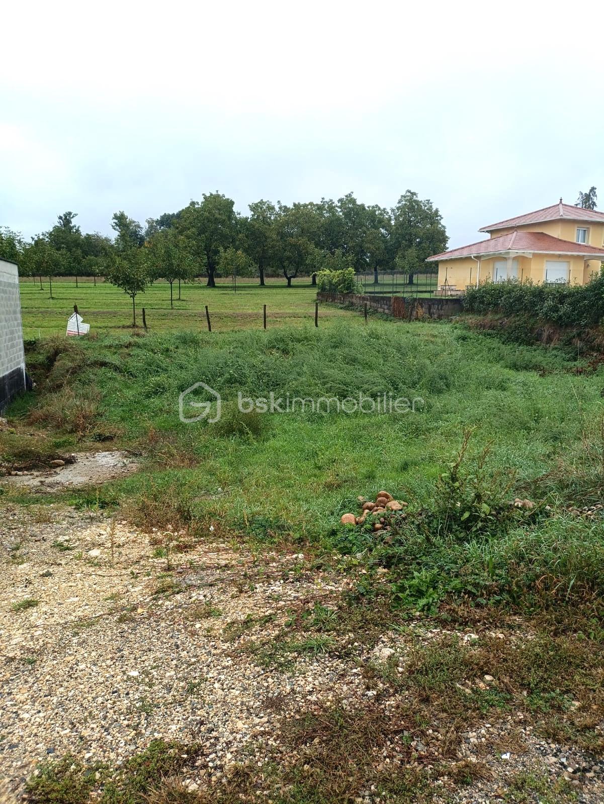 Terrain de 422 m² - ba48cf00-9c66-429c-8281-3e5da56147ec.JPG