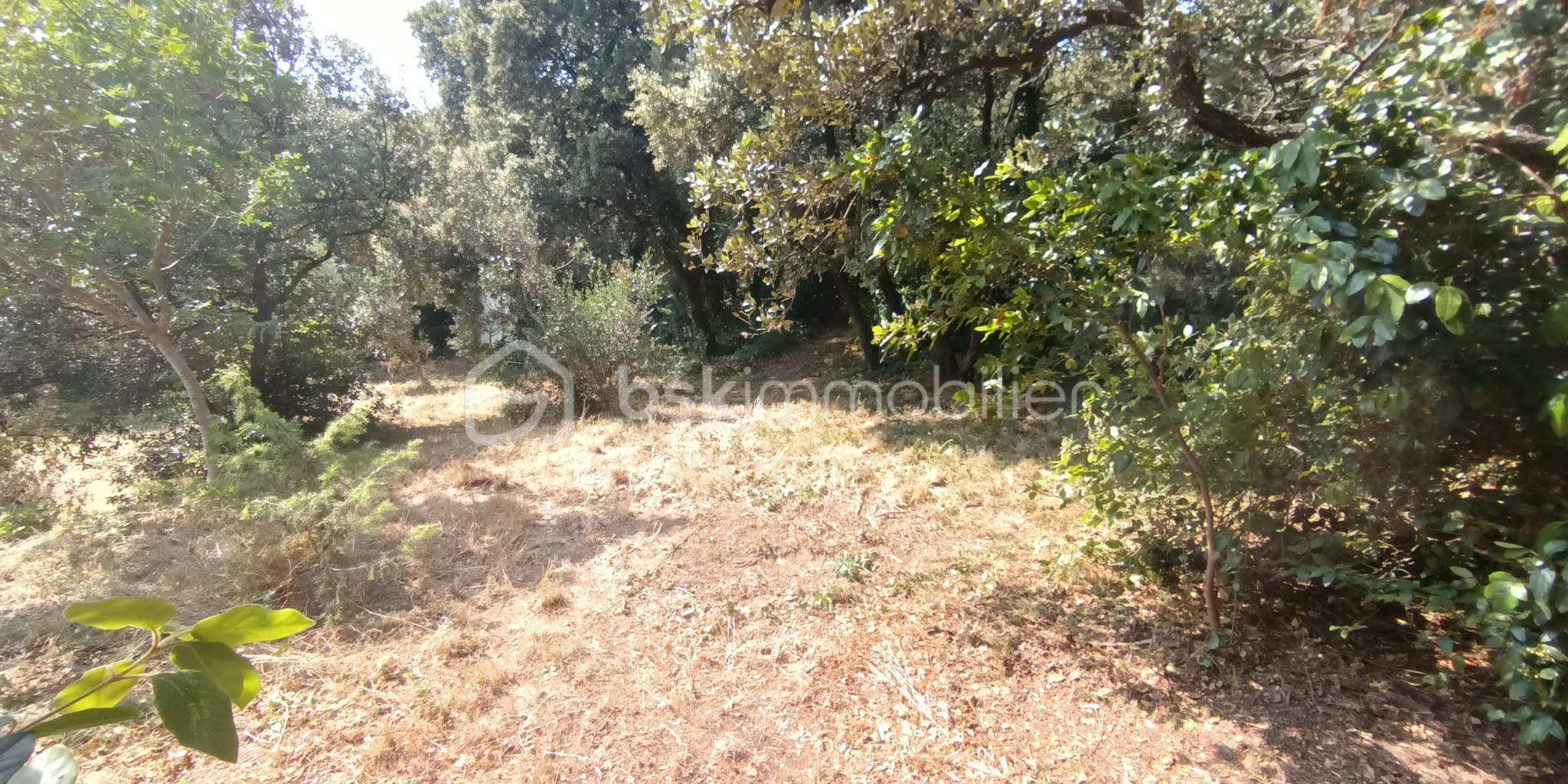 Terrain de 1 001 m² - IMG-20250611-WA0048.jpg