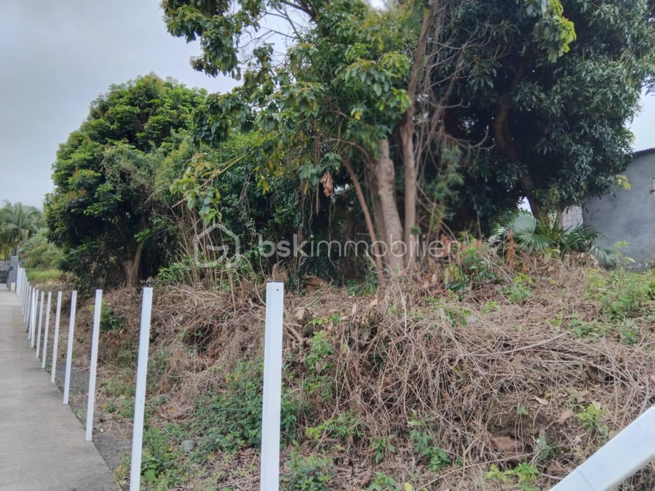 Terrain de 1 078 m² - WhatsApp Image 2025-10-07 at 16.03.19.jpeg
