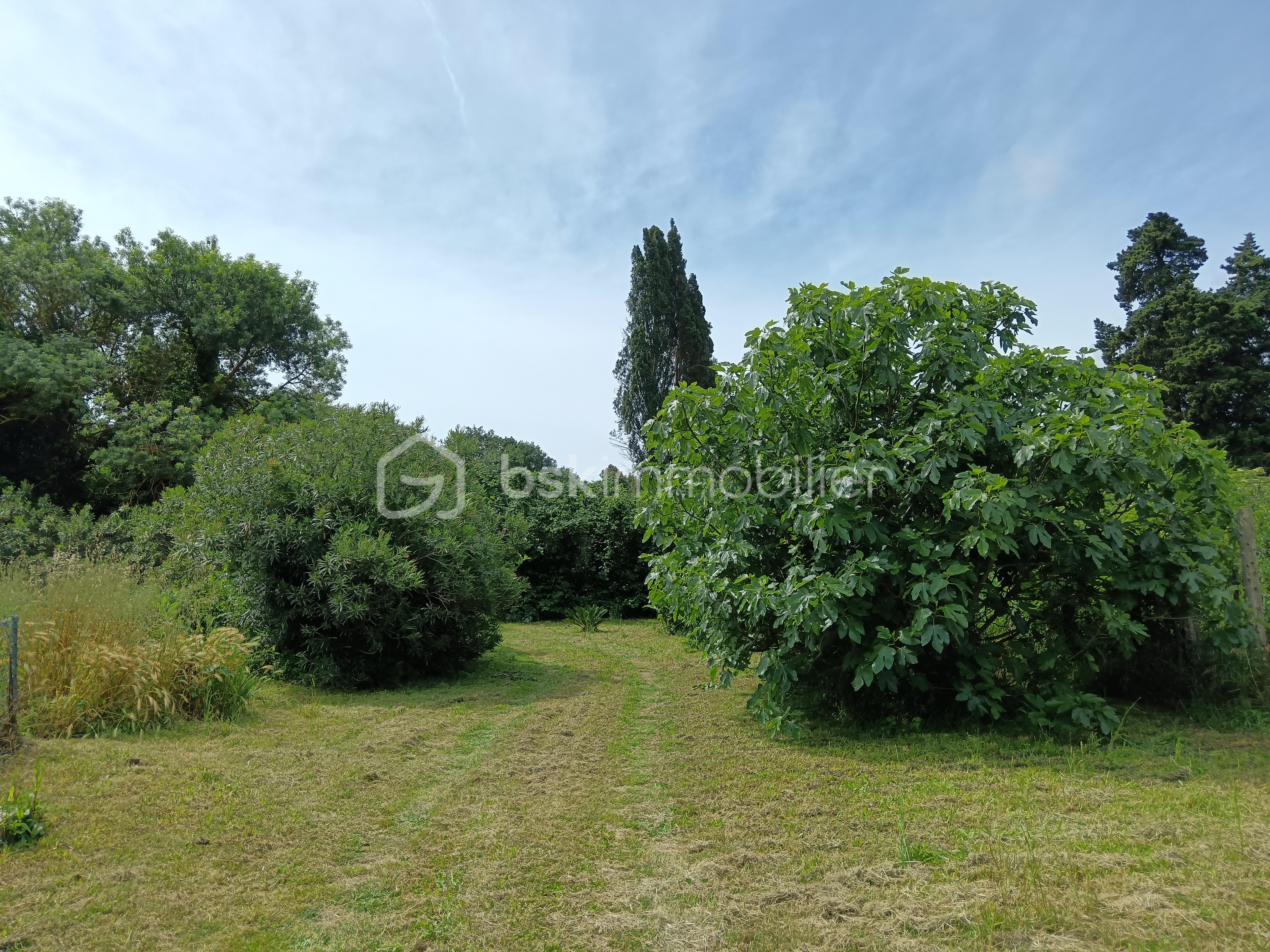 TERRAIN OUEST.jpg