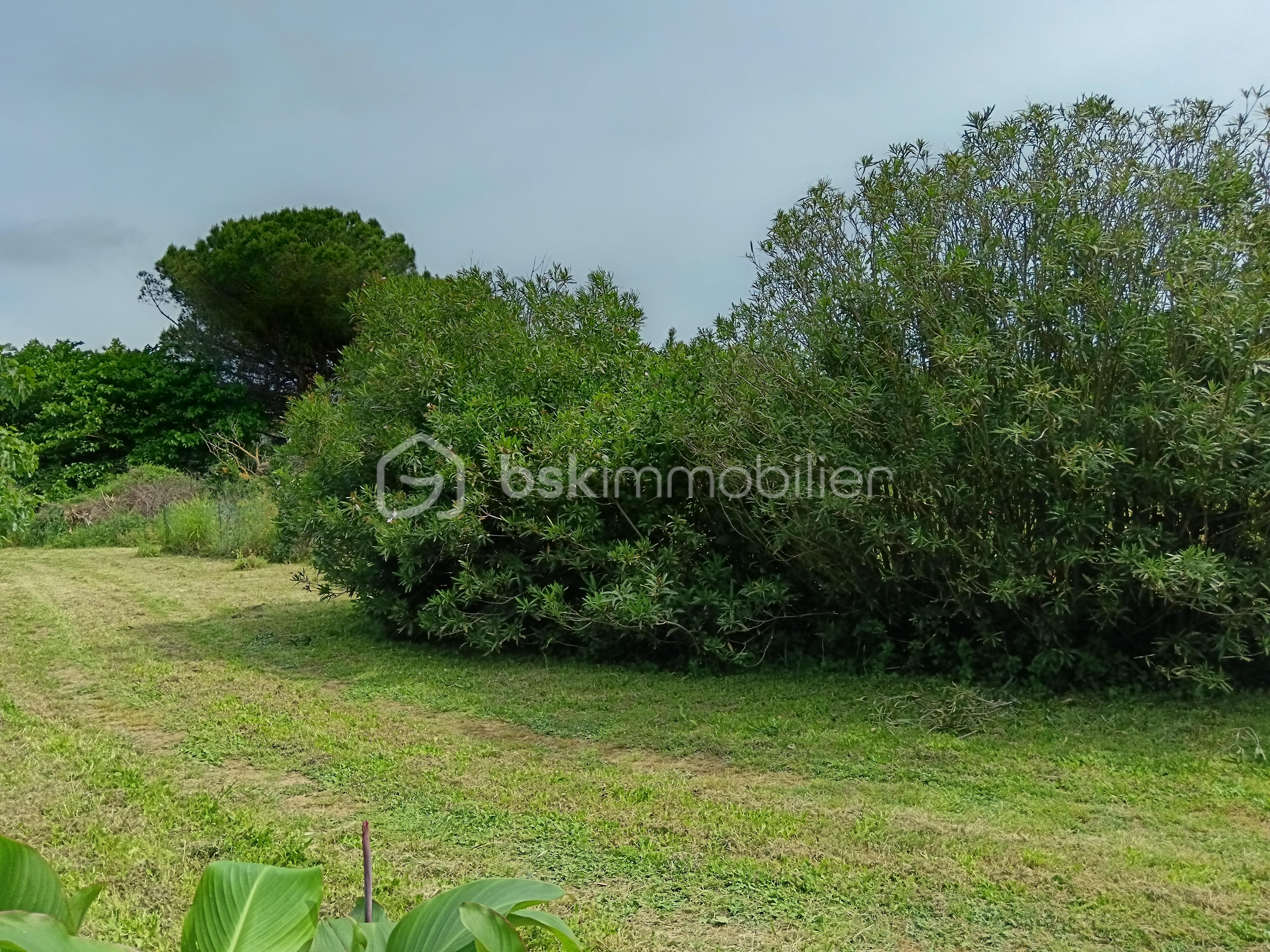 COTE SUD.jpg