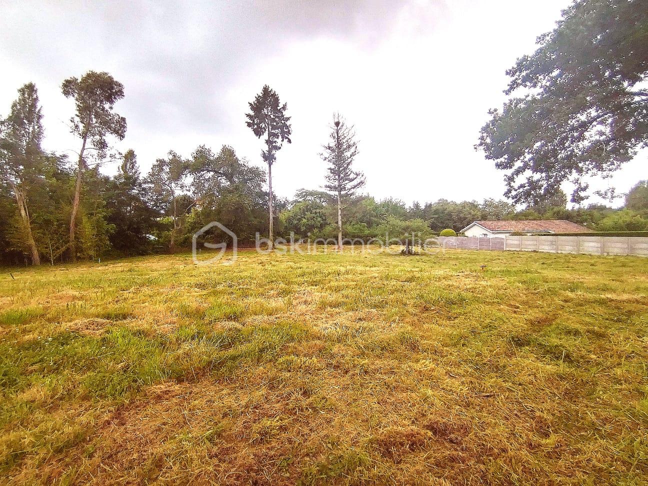 Lotissement de 1 564 m² - PHOTO 3.jpg