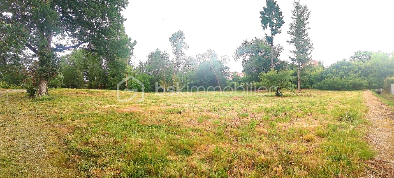 Lotissement de 1 564 m² - PHOTO 2.jpg