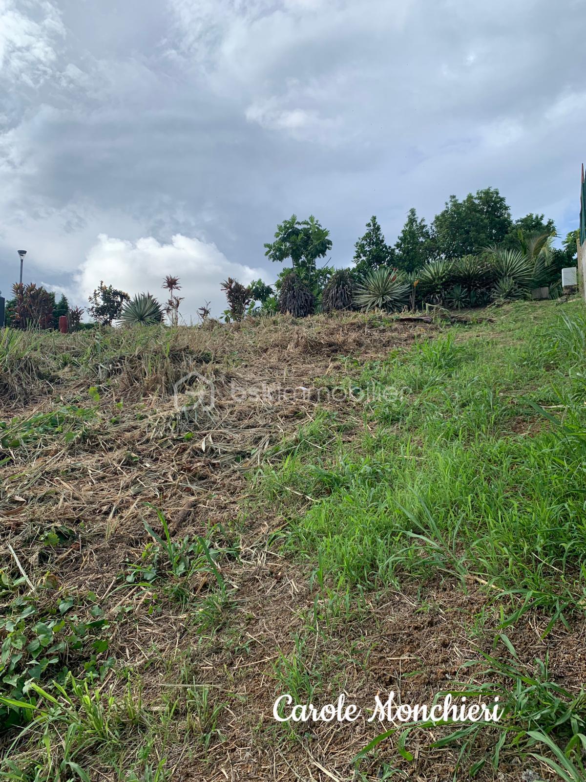 Terrain de 500 m² - 4.jpg