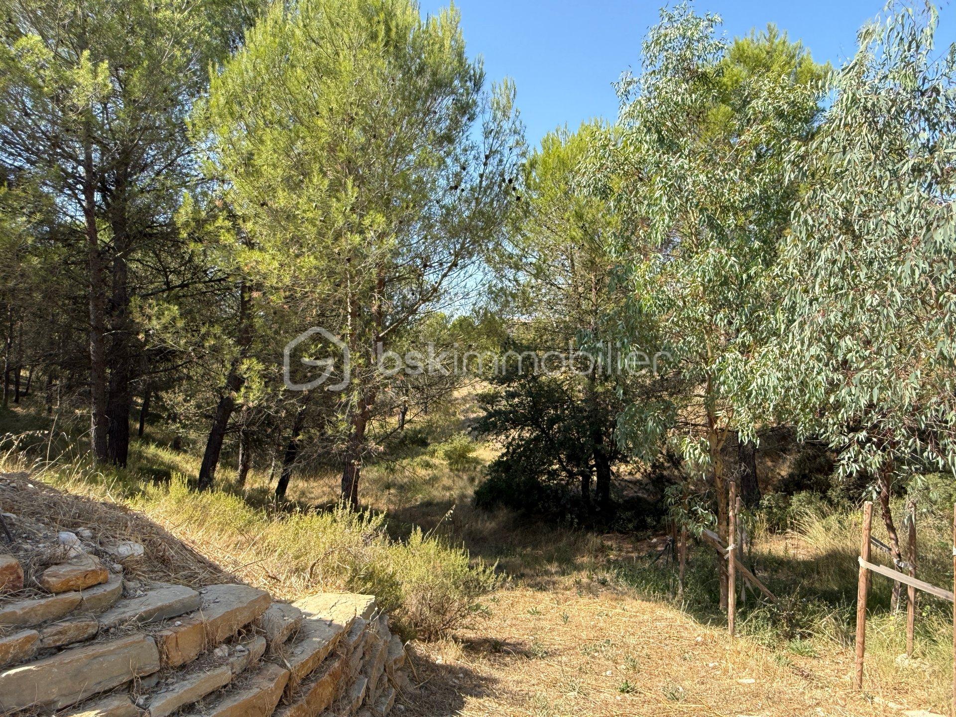 JARDIN.jpeg