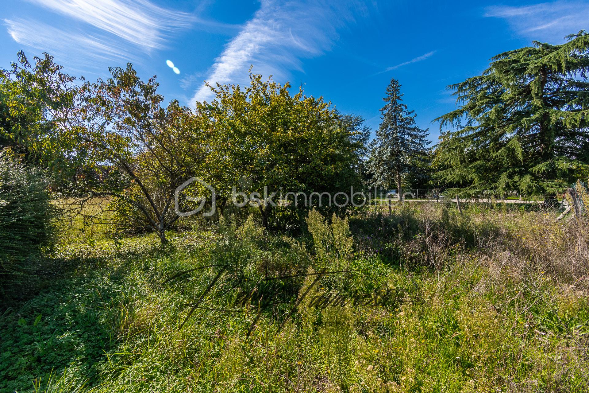 Terrain de 820 m² - 212333 - Photo -2.jpg