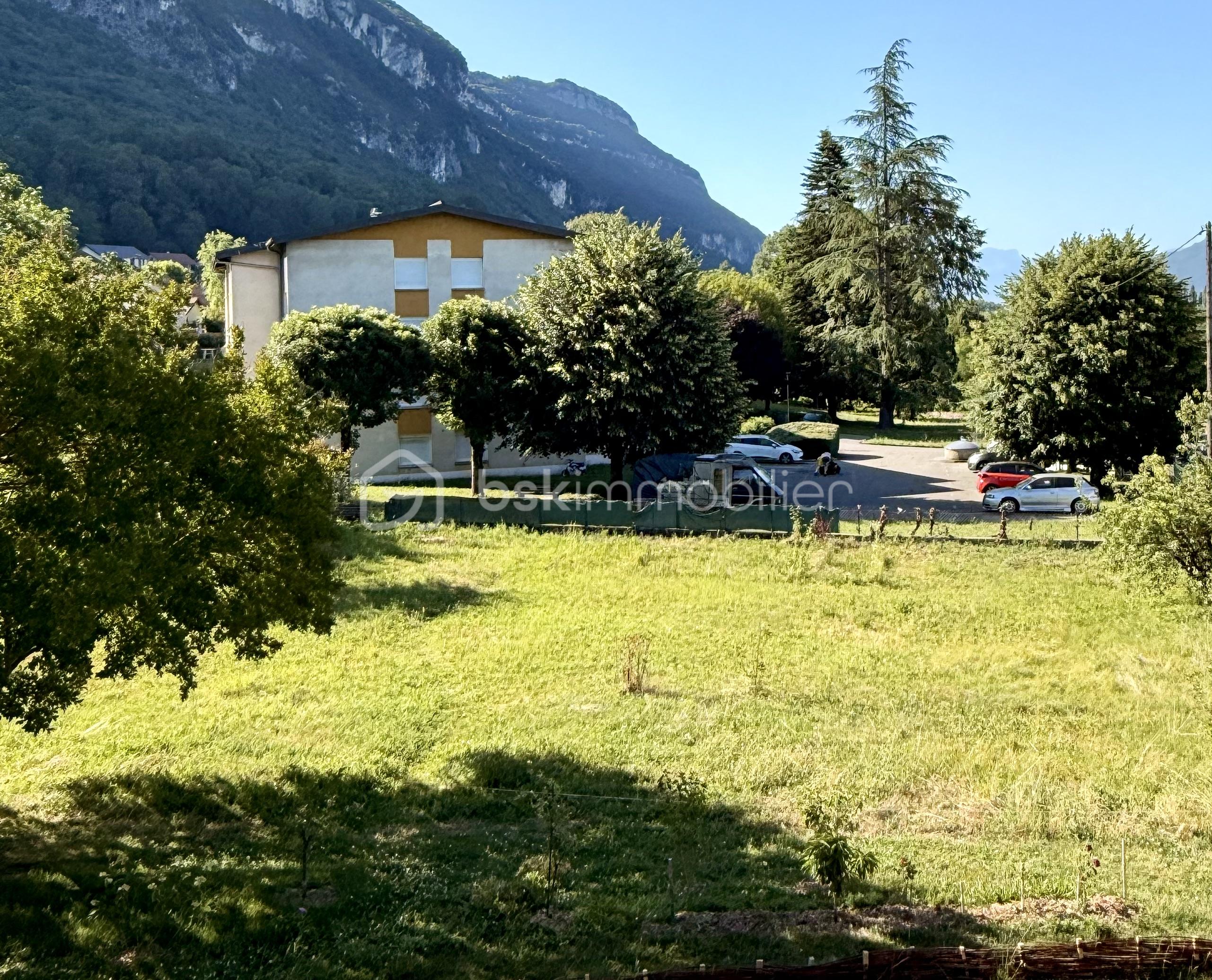 IMG_3951.jpeg