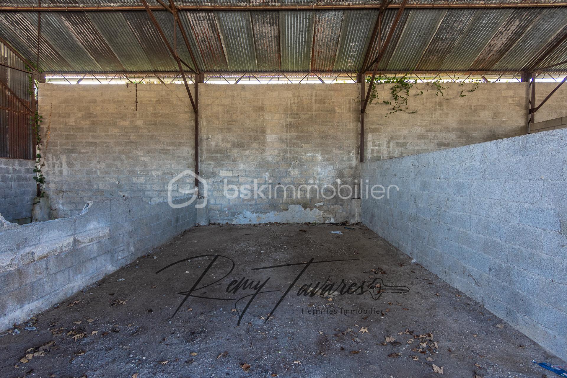 236572 - Photo-11.jpg