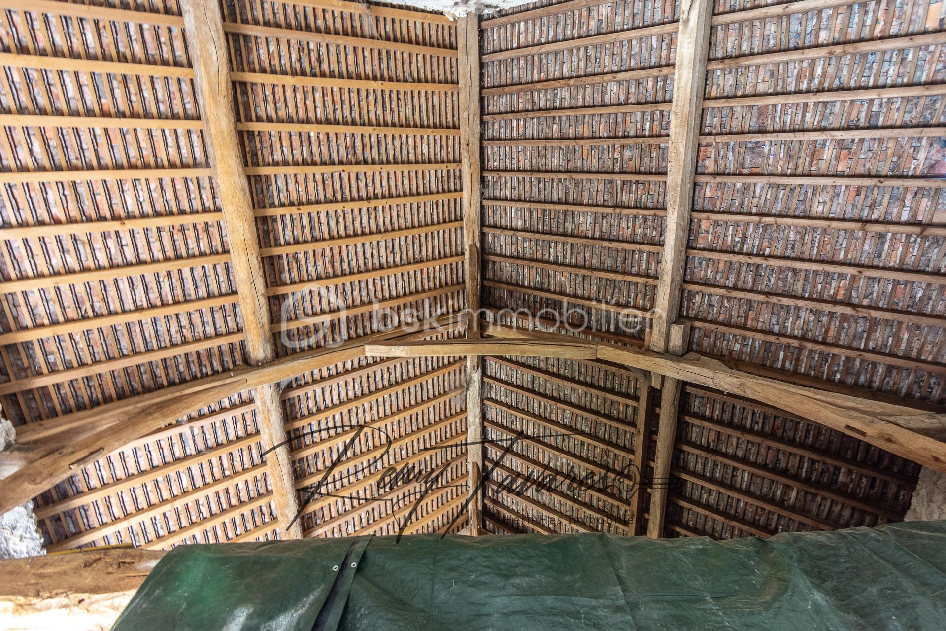 236572 - Photo-23.jpg