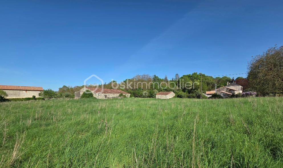 SEGEAT TERRAIN 3 - 4.jpeg