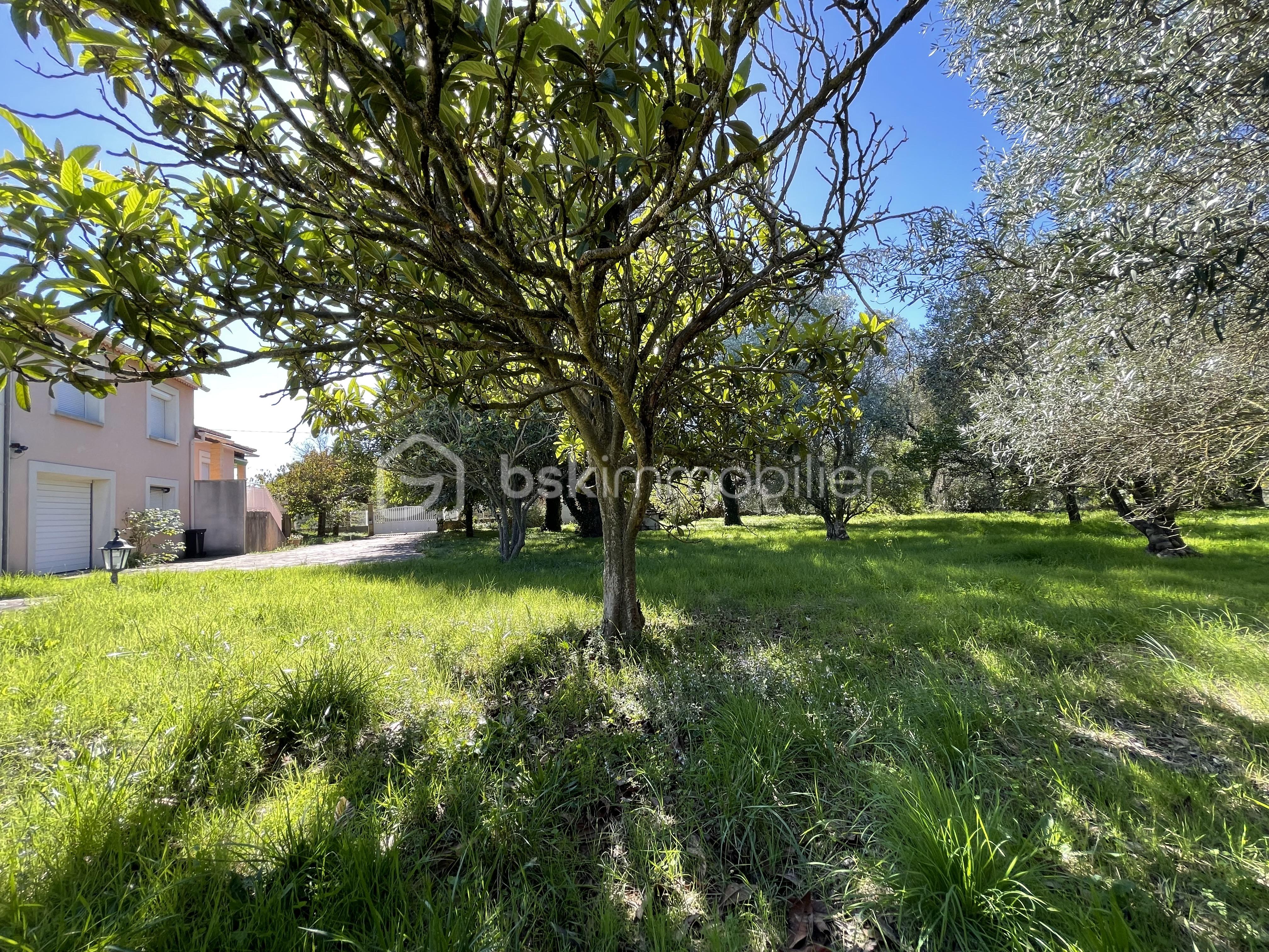 Maison traditionnelle de 120 m² - IMG_2824.JPG