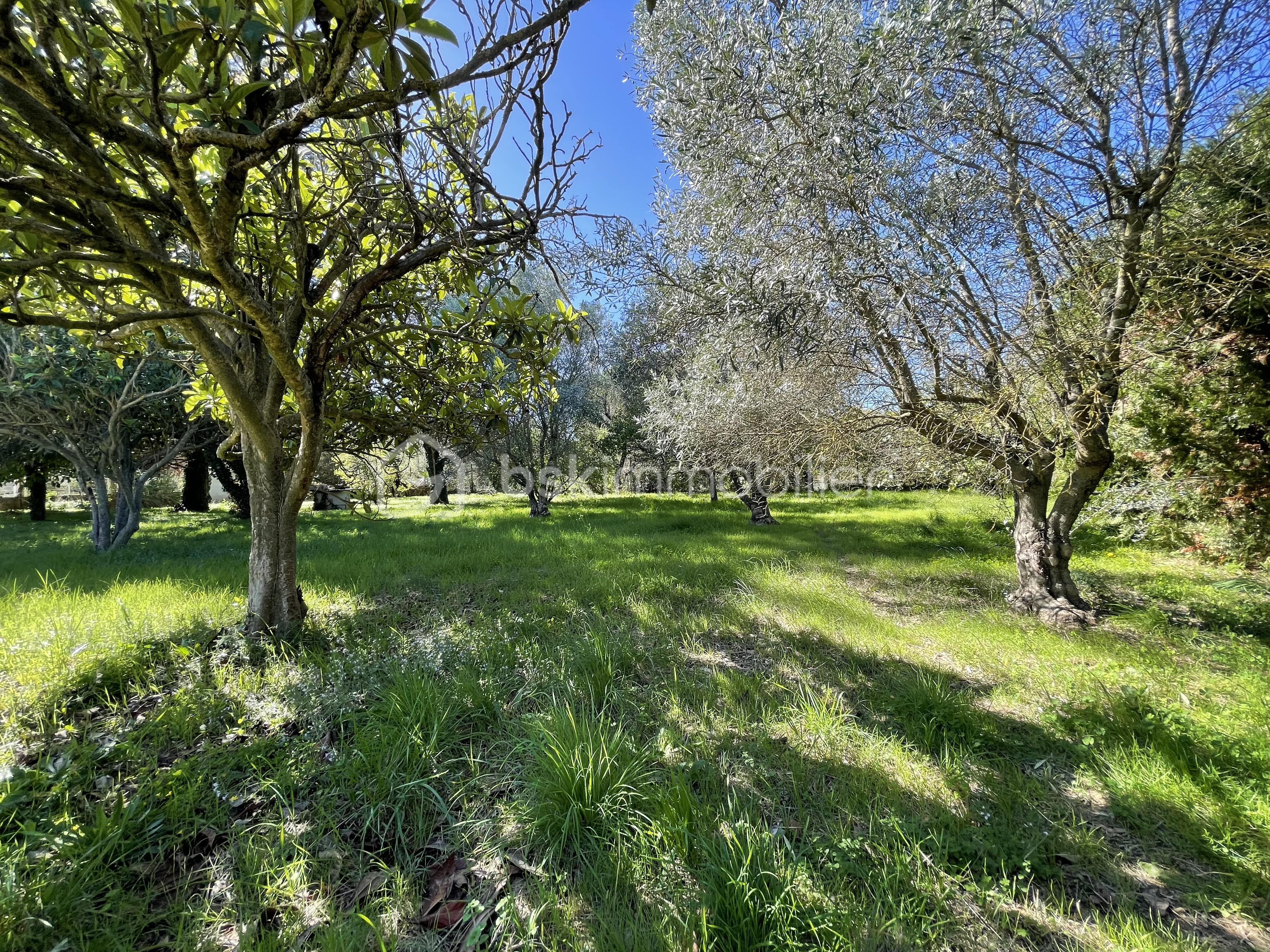 Maison traditionnelle de 120 m² - IMG_2825.JPG