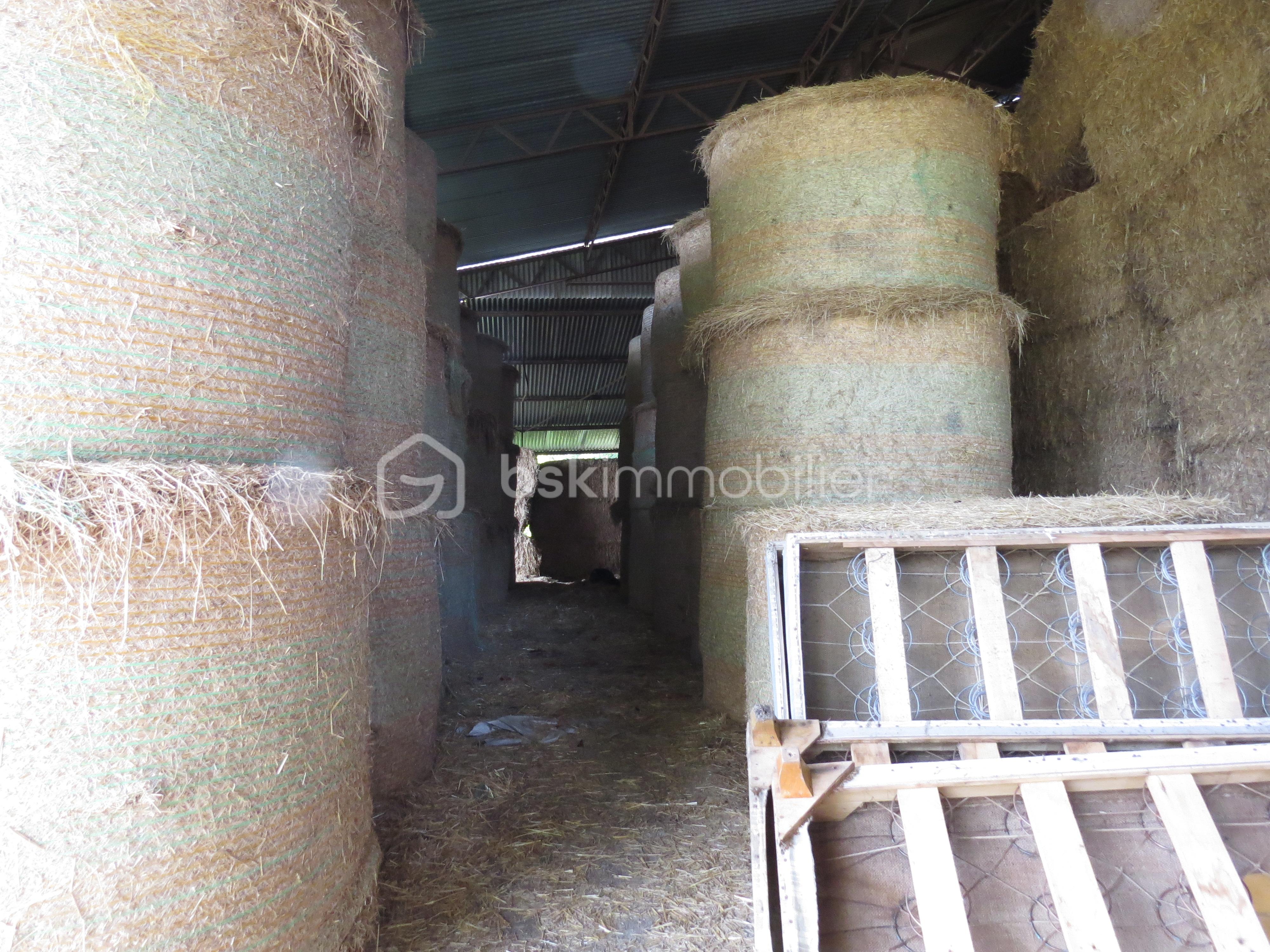 Corps de ferme de 161,88 m² - IMG_3369.JPG