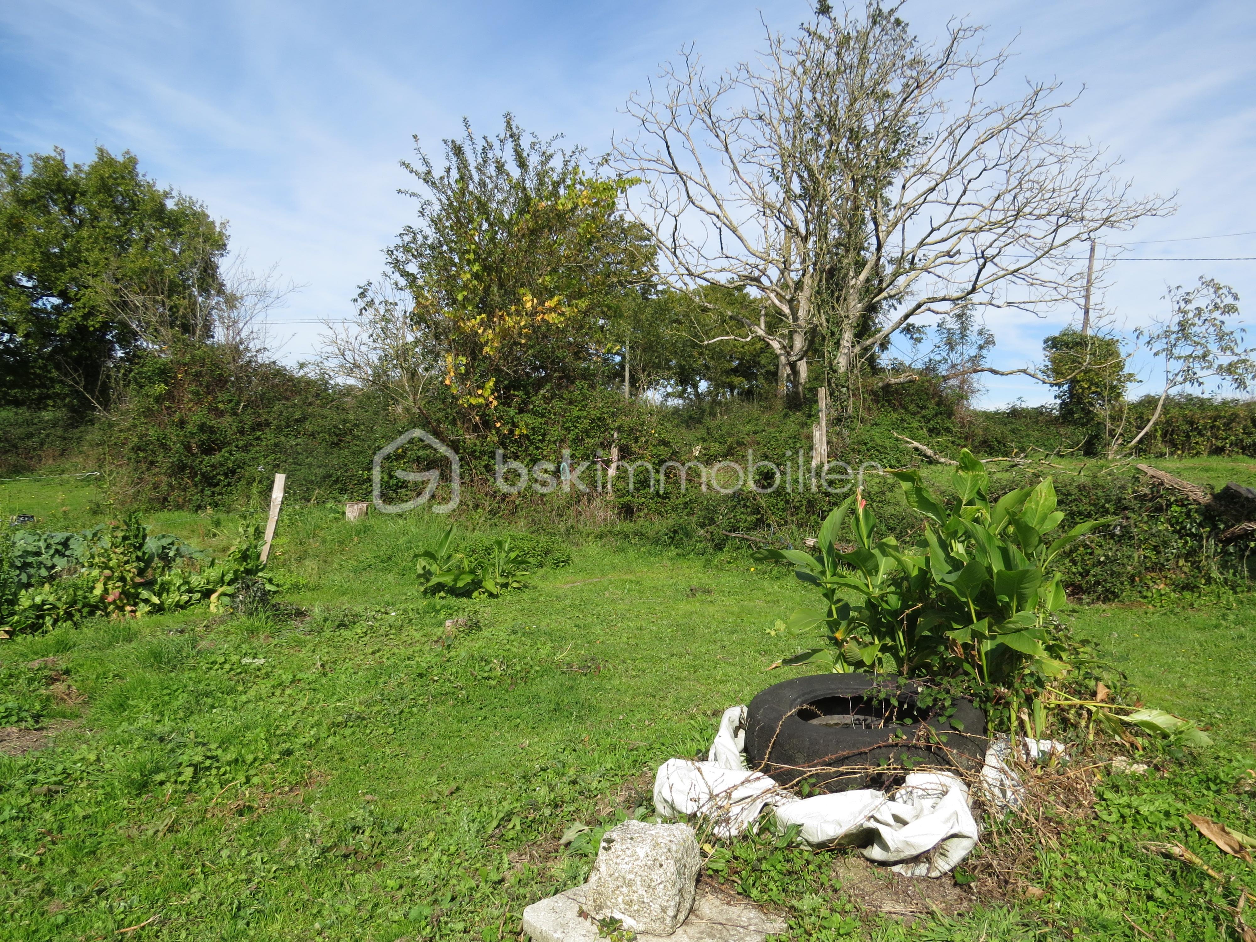 Corps de ferme de 161,88 m² - IMG_3335.JPG