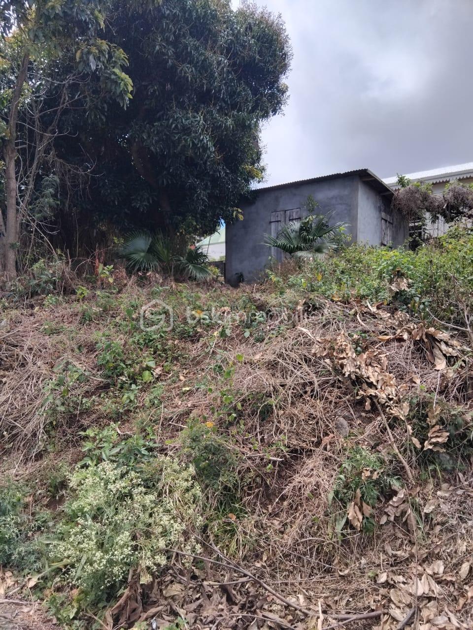 Terrain de 1 078 m² - photo terrain Calteau 2.jpg