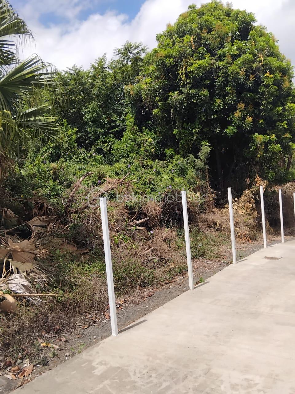 Terrain de 1 078 m² - photo terrain Calteau.jpg