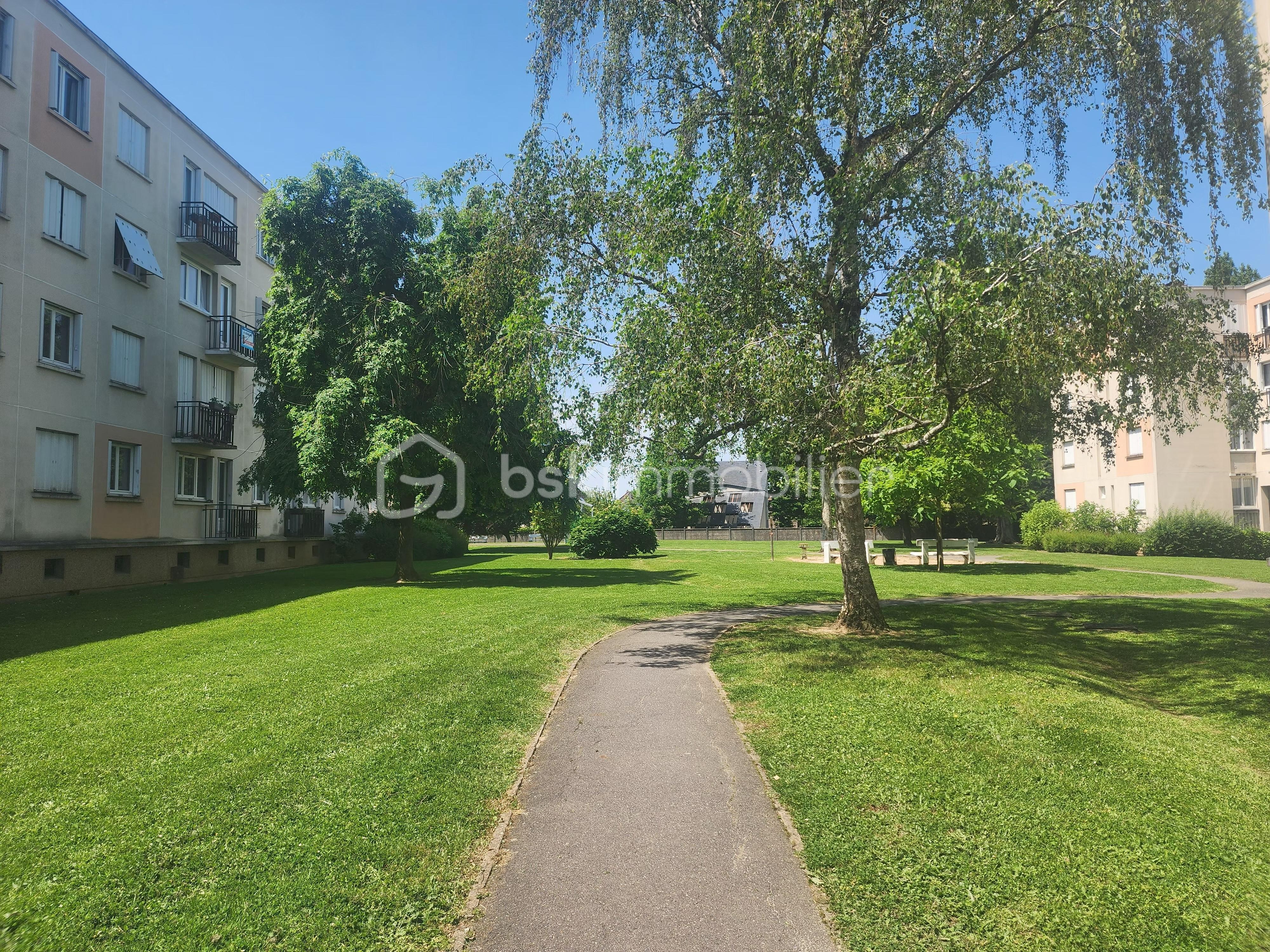 verdure2.jpg