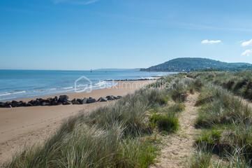 Propriete de 190 m² - 240_F_469274743_F98m2hYgY7Emh5sV0ulmcTPwi2ICWa7V.jpg