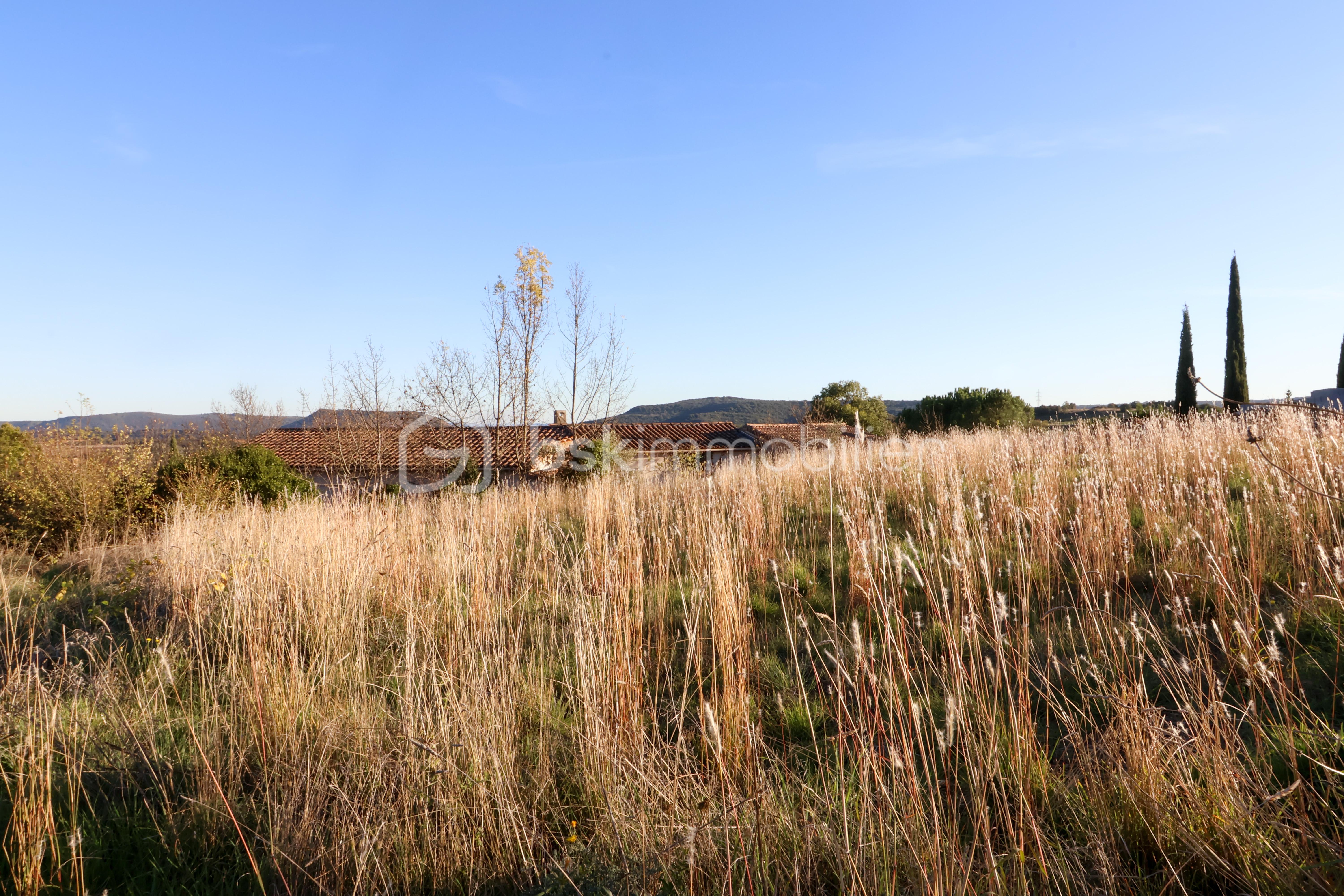 Terrain de 750 m² - IMG_3493.JPG