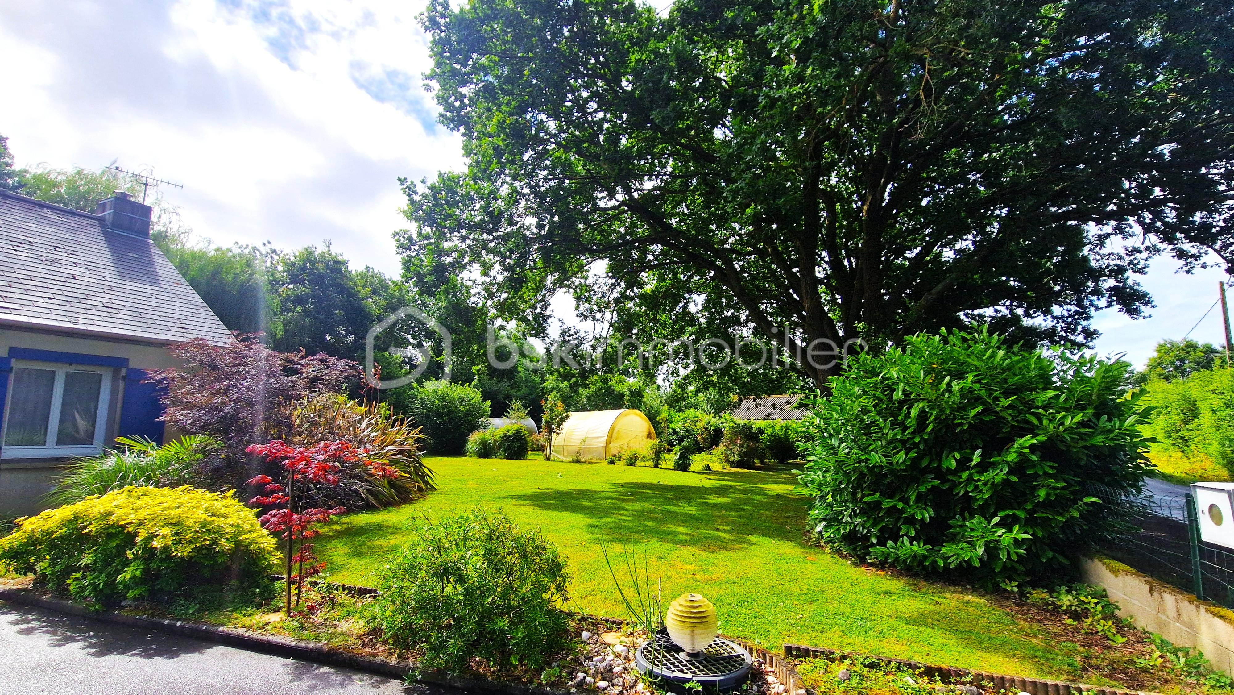 jardin1.jpg