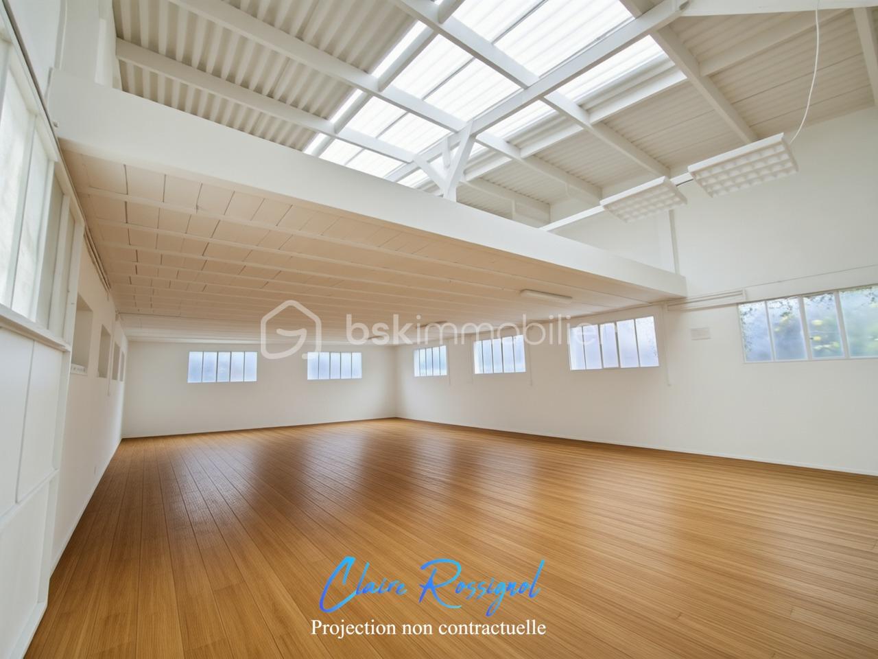 Immeuble de 500 m² - 26e8411b574405d-1.jpg