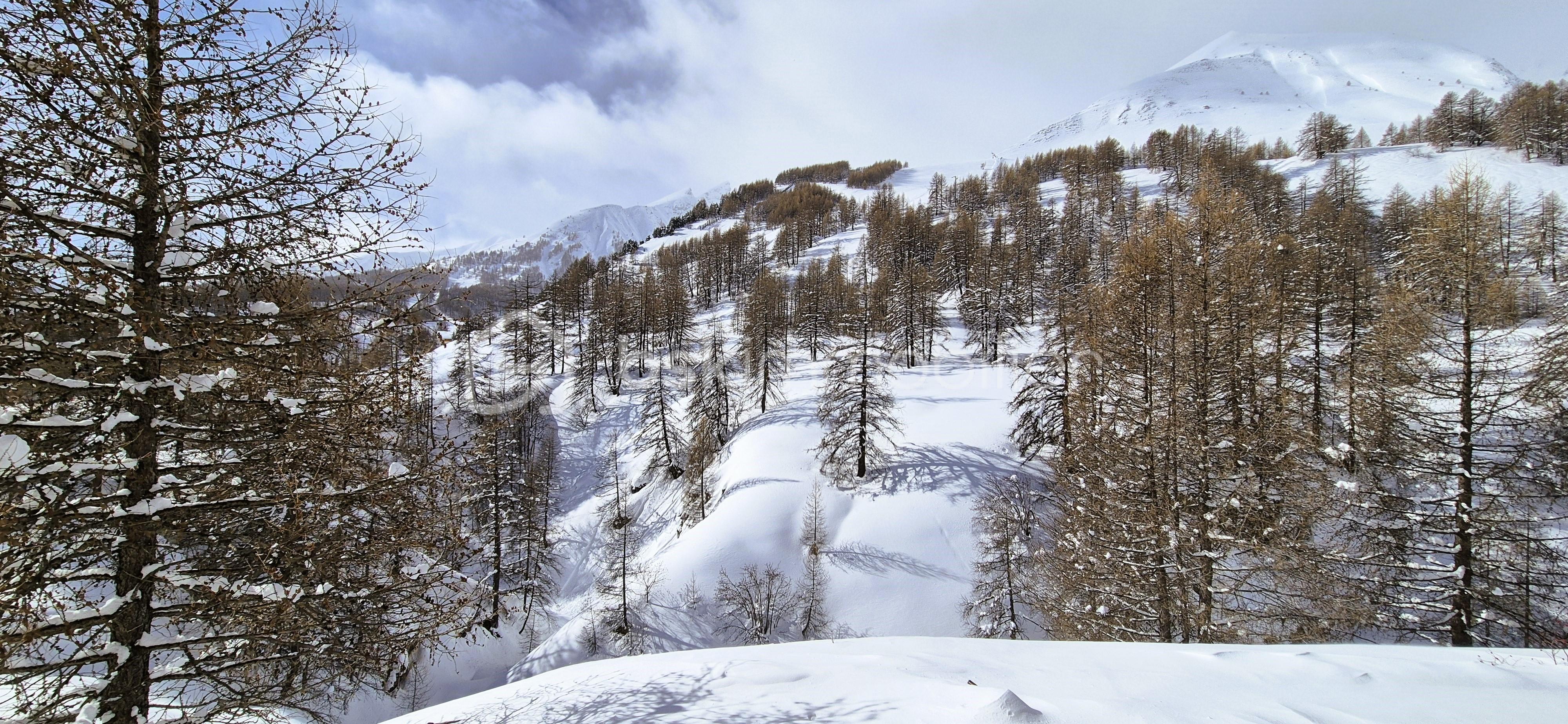 Appartement de 31 m² - 20260206_113404.jpg